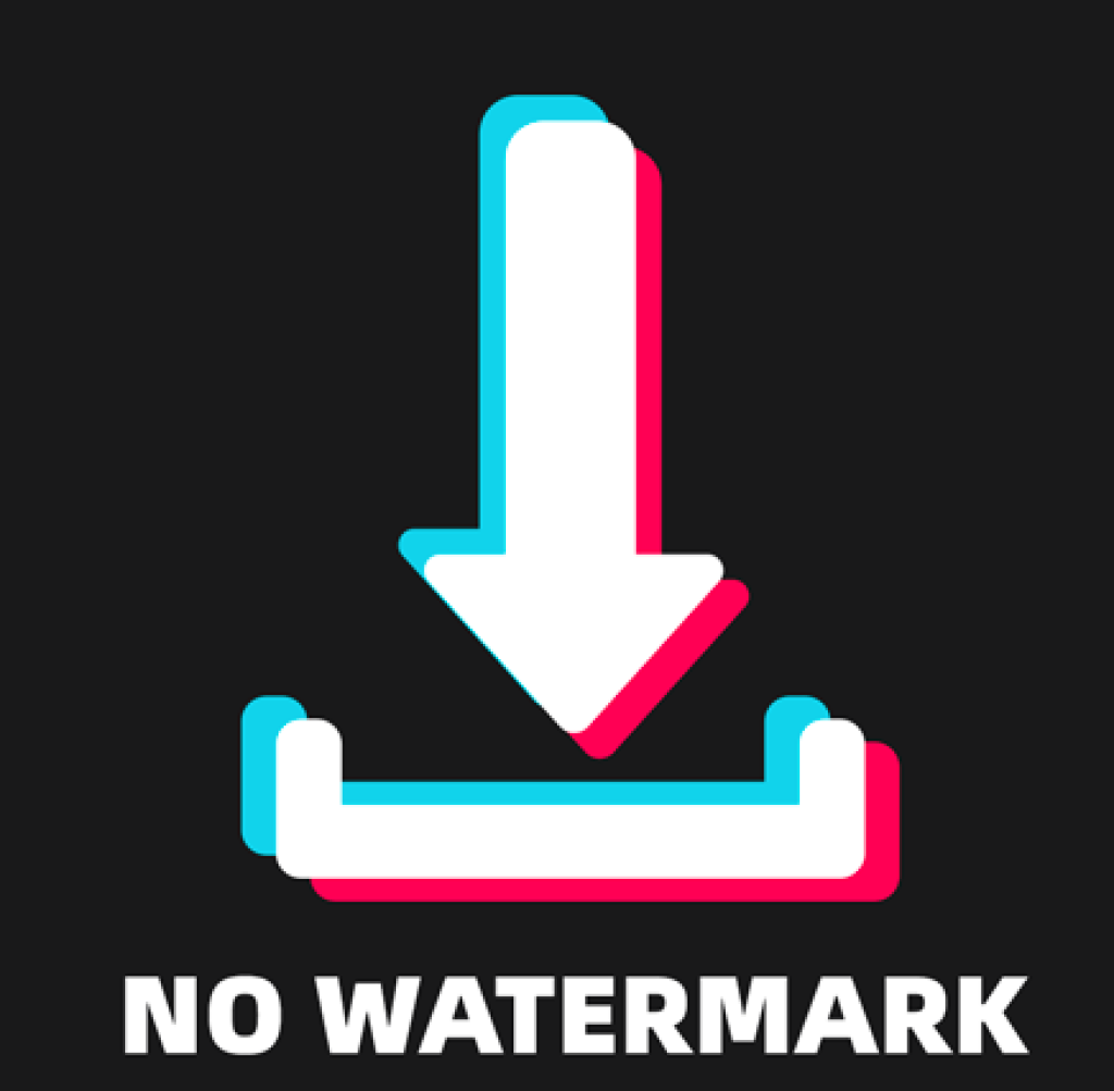How To Remove A TikTok Watermark 