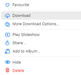 Download option icloud