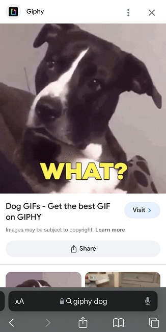 Search for GIF on web