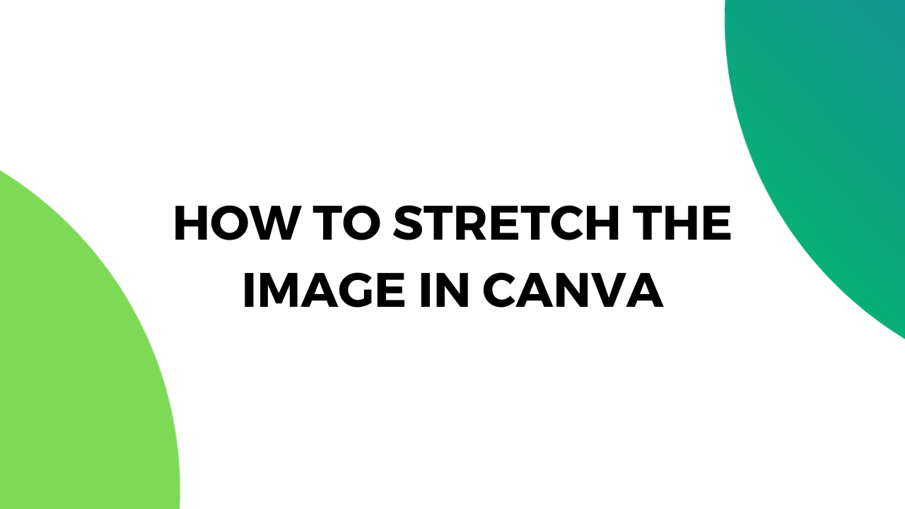 How to Stretch the Image in Canva Pttrns