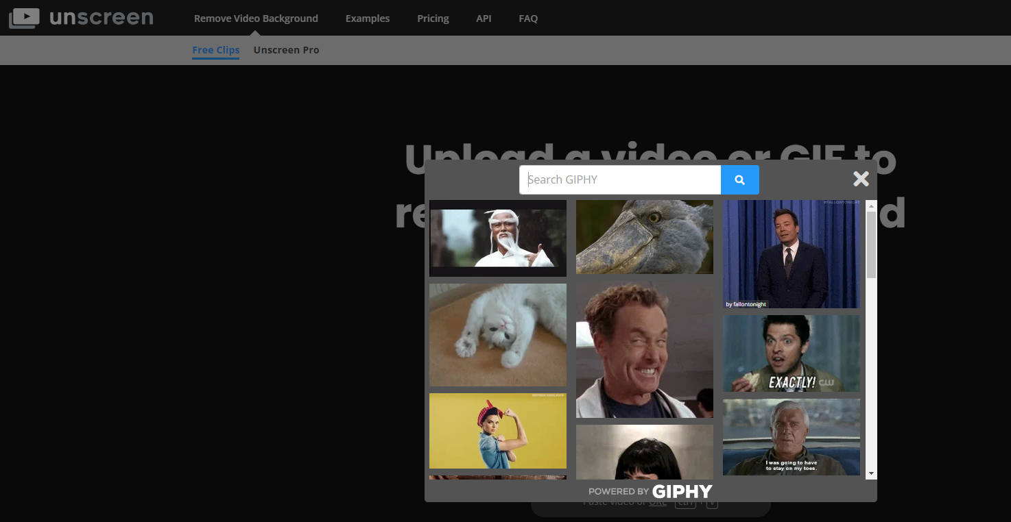 Search GIPHY