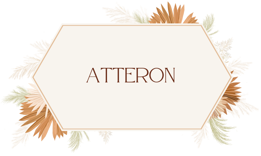 17 Rustic Fonts on Canva for Country Chic Designs - Pttrns