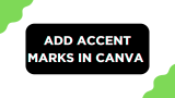 How To Add Accent Marks in Canva