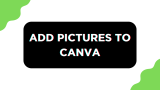 How To Add Pictures to Canva