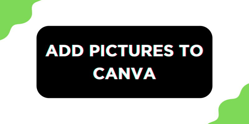 How To Add Pictures to Canva