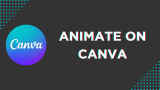 How To Animate on Canva