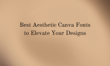 20 Best Aesthetic Canva Fonts to Elevate Your Designs
