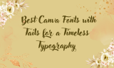 16 Best Canva Fonts with Tails for a Timeless Typography