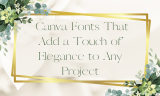 20 Most Elegant Fonts in Canva to Add Luxurious to Any Project