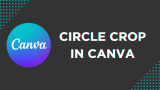 How To Circle Crop in Canva