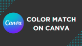 How To Color Match on Canva
