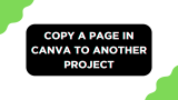 How To Copy a Page in Canva to Another Project