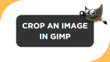 How To Crop in GIMP