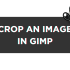 How To Use the Clone Tool in GIMP