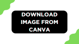 How To Download Image From Canva