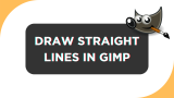 How To Draw Straight Lines in GIMP