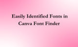 16 Easily Identified Fonts in Canva Font Finder