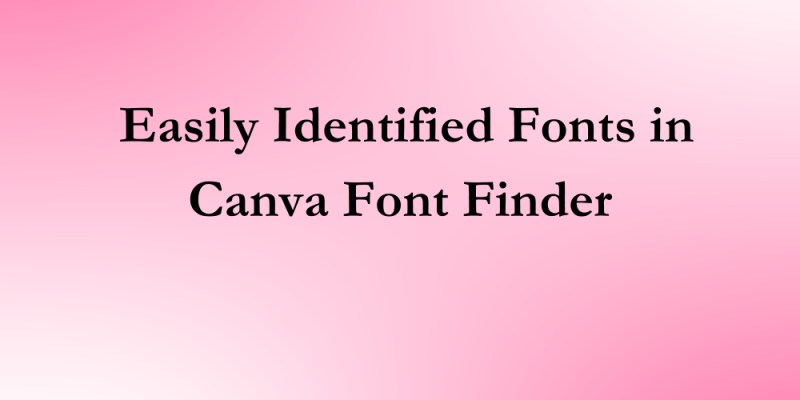 16 Easily Identified Fonts in Canva Font Finder