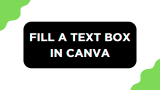 How To Fill a Text Box in Canva