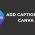 How To Animate on Canva