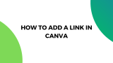 How to Add a Link in Canva