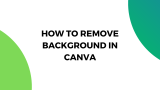 How to Remove Backgrounds in Canva