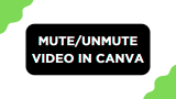 How To Mute Video in Canva