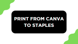 How To Print From Canva to Staples