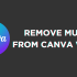 How To Remove Animation From Canva