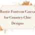 16 Best Pair Fonts with Times New Roman in Canva