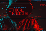 Top 10 Best Penetration Testing Companies
