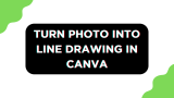 How To Turn Photo Into Line Drawing in Canva