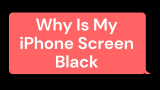 Why Is My iPhone Screen Black? Top 8 Reasons Explained