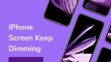 Why Does My iPhone Screen Keep Dimming