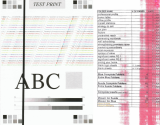 Why Is My Printer Printing Lines? (Horizontal or Vertical)